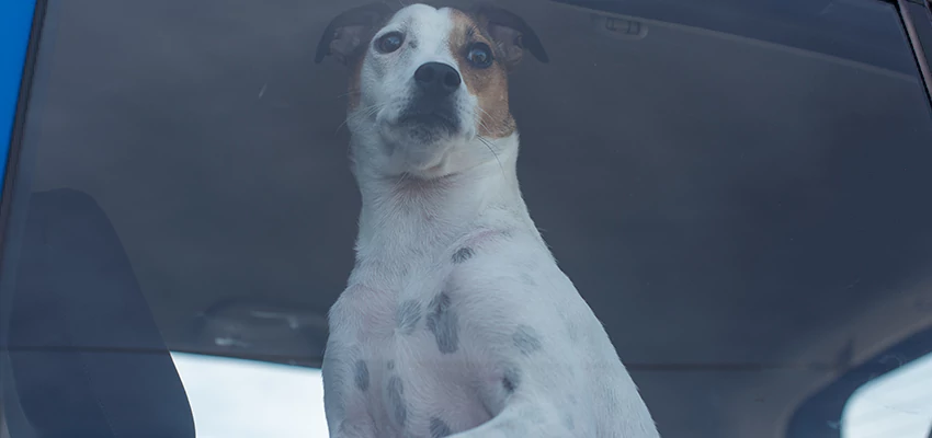 Car Lockout Solutions in Bay Point, California